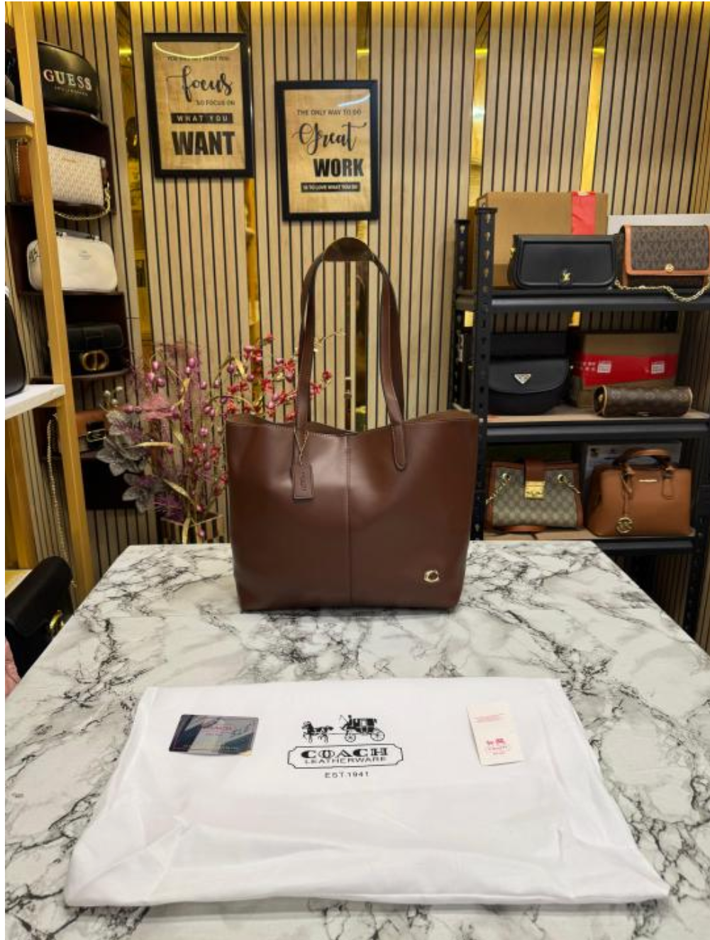 Coach North Leather Tote Bag Premium