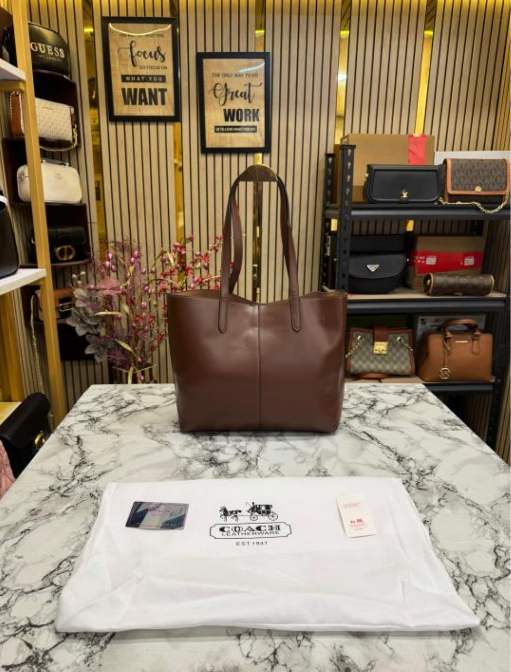 Coach North Leather Tote Bag Premium